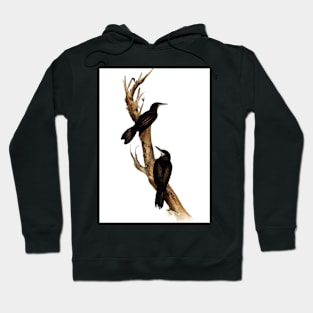 Birds on a Branch Hoodie